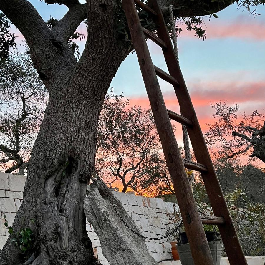 Quei Trulli Divini Bed and Breakfast Martina Franca Exteriör bild